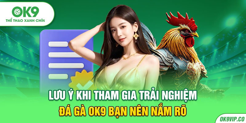 Lưu ý khi tham gia trải nghiệm đá gà OK9 bạn nên nắm rõ